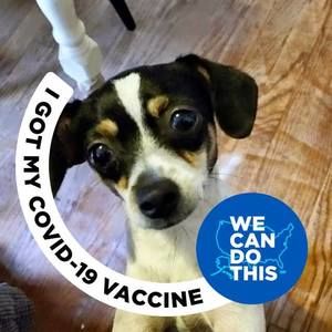 Meet your Posher, Steven